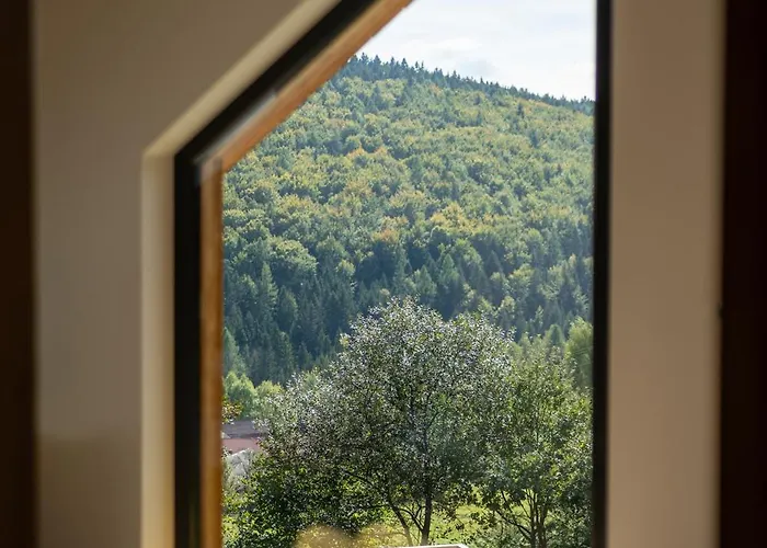 度假居 Drwalowka - 