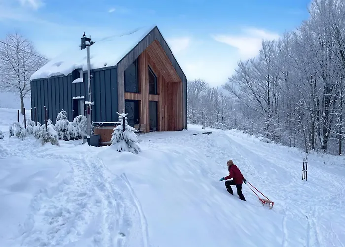 Holiday home Drwalowka - 